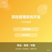 项目管理系统开发